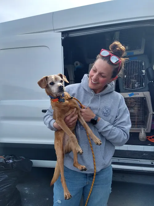 Furry Freight volunteers